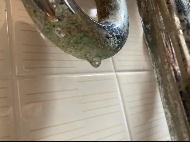 水漏れ修理、交換、お任せ下さい！各種クレジットカード、PayPay払い対応(^^サービスの画像