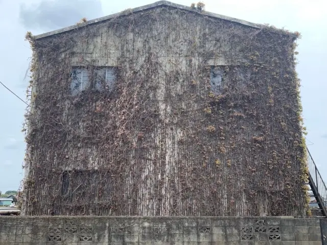 年間施工60件以上！プロ集団にお任せください！！元をしっかり除去！サービスの画像