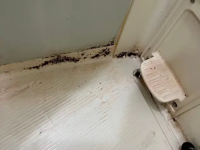 年末の大掃除をプロの手でピカピカに☆12月は予約がなかなか取れないのでお早めに♪サービスの画像