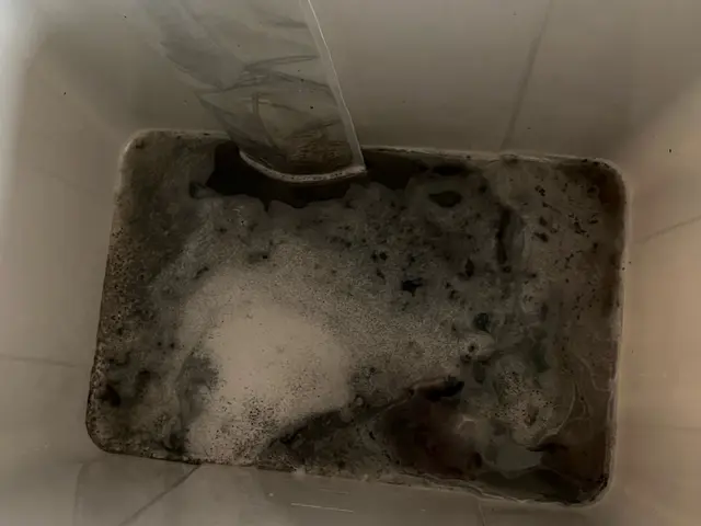 2台以上で1台6500円！4種類の洗剤を使用で徹底的に洗浄いたします！カビ撃退！サービスの画像