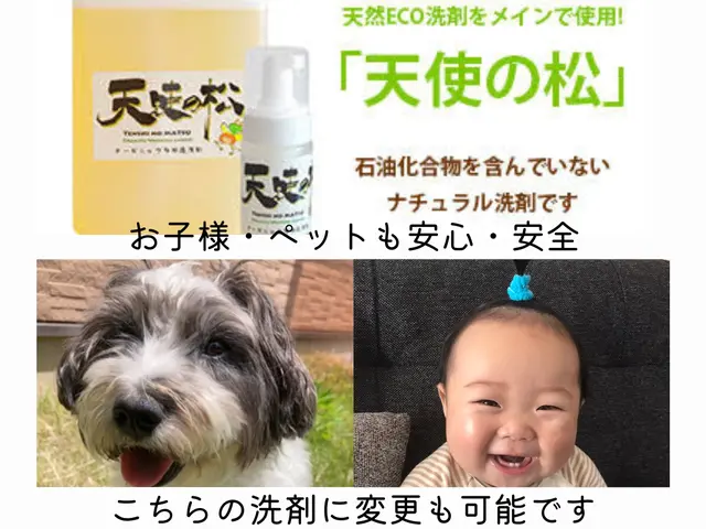2台以上で1台6500円！4種類の洗剤を使用で徹底的に洗浄いたします！カビ撃退！サービスの画像