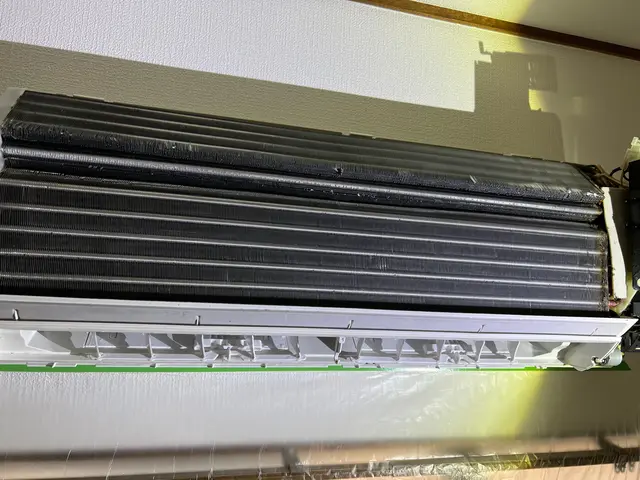 【☆損害保険加入☆】インボイス登録店　カビ徹底除去　お気軽にご連絡ください♪サービスの画像