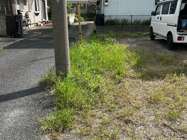 機械作業が難しい場所の手作業での草むしり承ります。サービスの画像