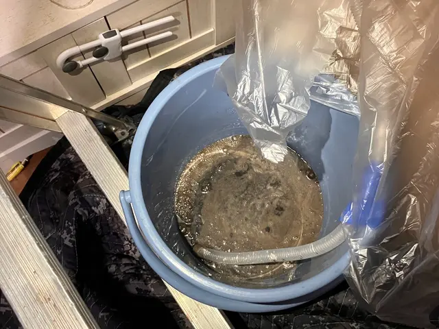 徹底清掃！赤ちゃんやペットも安心安全な洗剤です。なんでもご相談下さい！サービスの画像