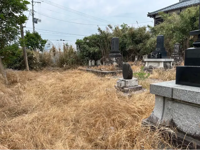 刈払い機での草刈りサービスの画像