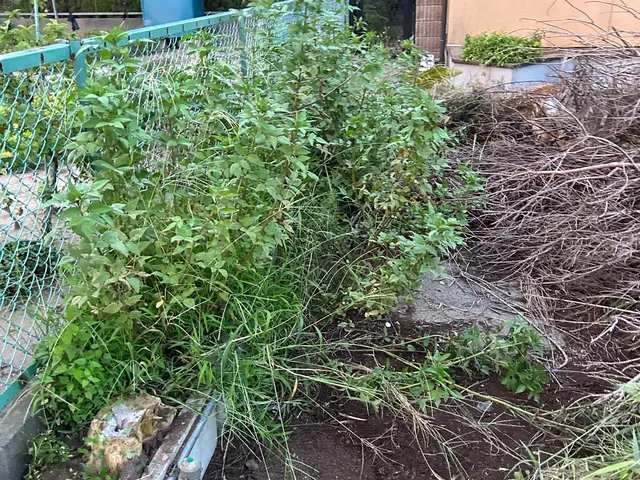 ◎無人対応可　◎千葉県成田発　◎年中無休　◎対応の速さには自信がありますサービスの画像