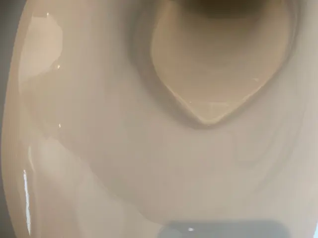 【追加料金なし】外せる部品はすべて外し清掃いたします。除菌・抗菌も承っておりますサービスの画像