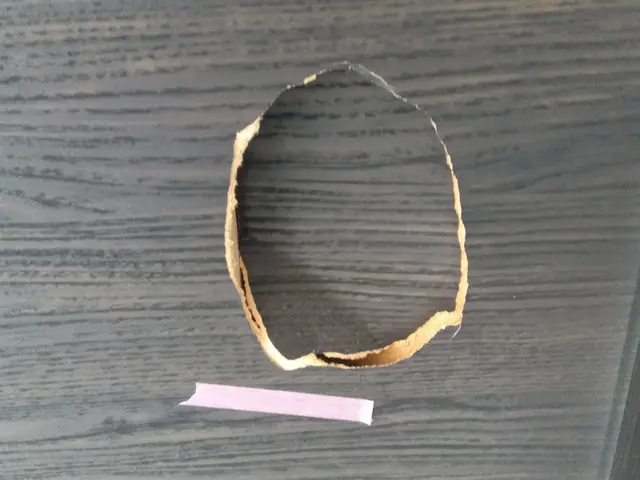 室内ドア陥没穴補修サービスの画像