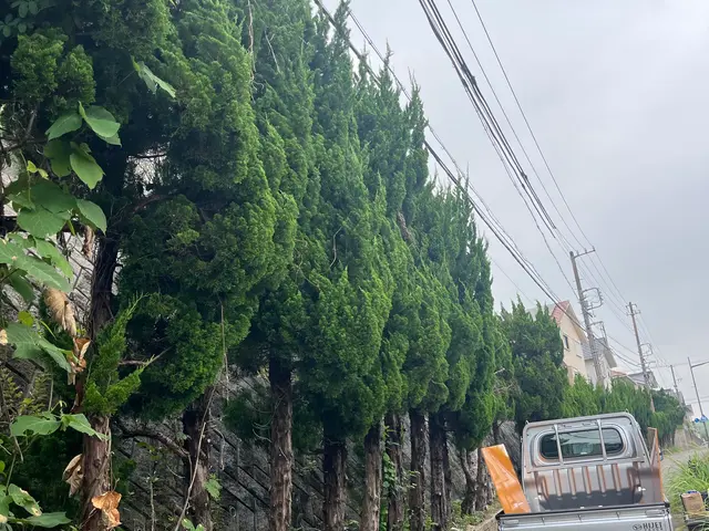 【2025年2月出店】外注一切無★損害保険加入済★駐車場代店負担サービスの画像