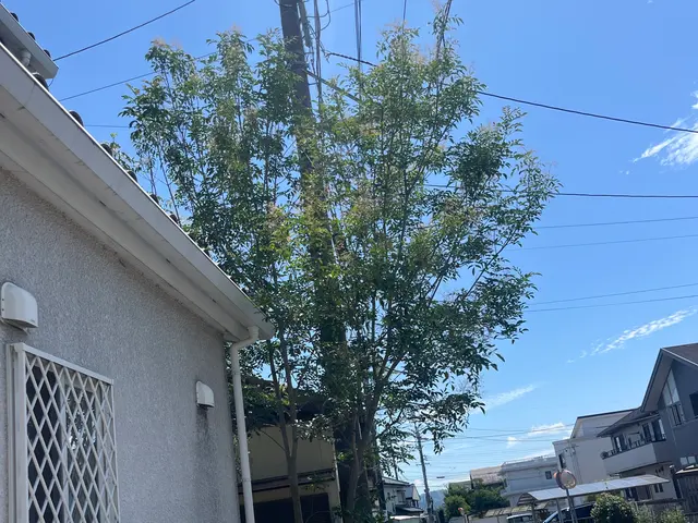 【2025年2月出店】外注一切無★損害保険加入済★駐車場代店負担サービスの画像