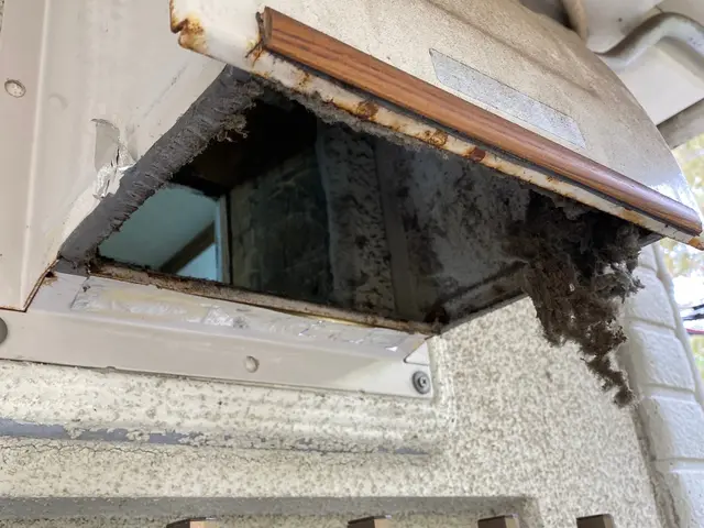 ガンコな油汚れも徹底的に洗浄！　換気効率も上がりますので必見です♪サービスの画像