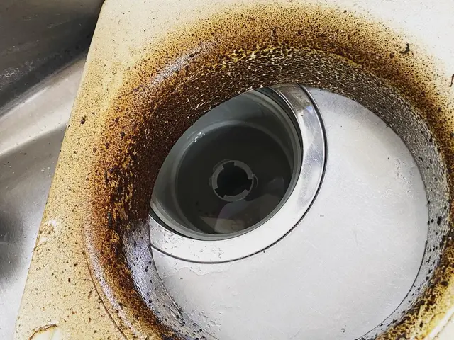 ガンコな油汚れも徹底的に洗浄！　換気効率も上がりますので必見です♪サービスの画像