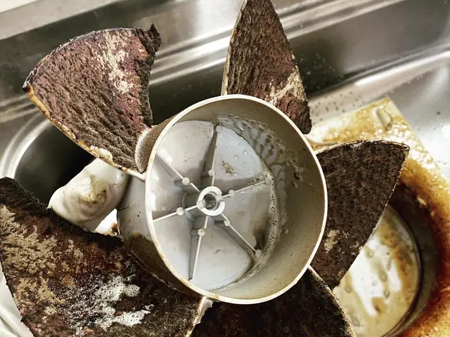 ガンコな油汚れも徹底的に洗浄！　換気効率も上がりますので必見です♪サービスの画像