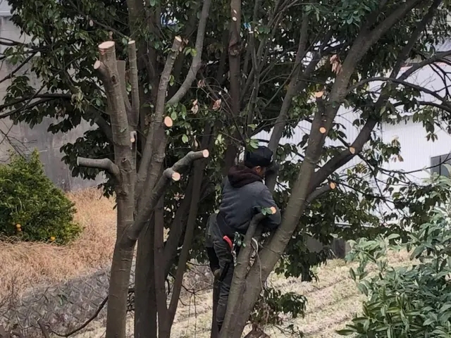 【業歴16年】無料御見積り可☆小さなご相談もお気軽に☆損害保険加入済みサービスの画像