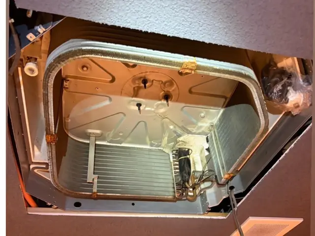 ★年間2000件の実績！★幼稚園や飲食店の豊富な実績！将ちゃんにお任せ下さい！サービスの画像