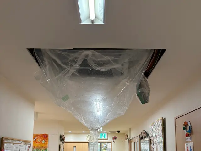 ★年間2000件の実績！★幼稚園や飲食店の豊富な実績！将ちゃんにお任せ下さい！サービスの画像