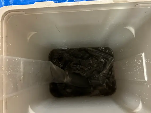 ★年間2000件の実績！★幼稚園や飲食店の豊富な実績！将ちゃんにお任せ下さい！サービスの画像