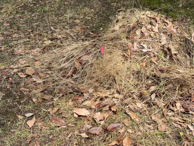 ◎奈良県中心・地域密着店◎営業時間外も対応可能◎アフターフォローも万全サービスの画像