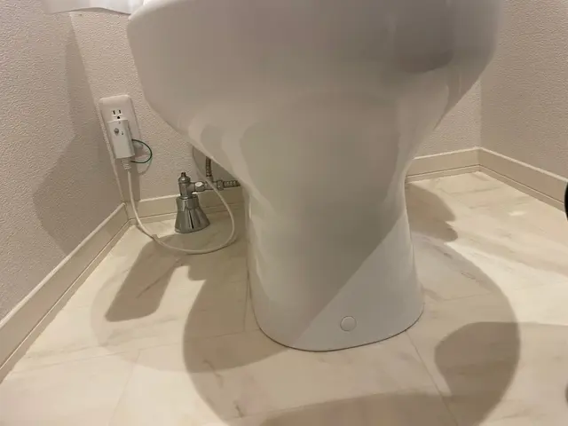 This is トイレ掃除！これぞプロの技。サービスの画像