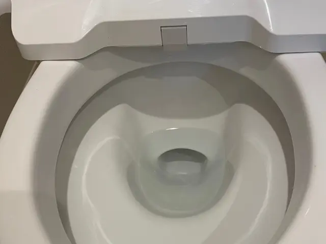 This is トイレ掃除！これぞプロの技。サービスの画像