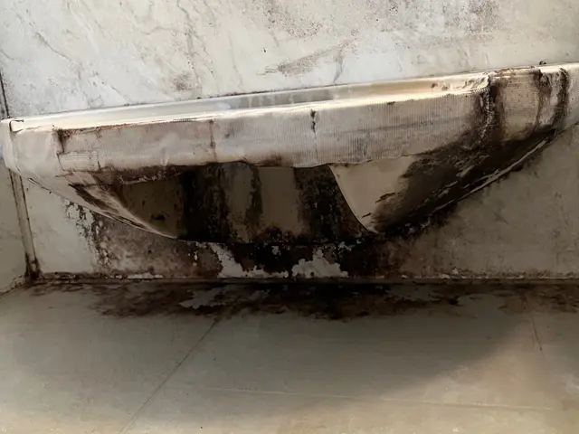 ☆大手企業マネージャー経験有☆めんどくさいお風呂掃除お手伝いします！サービスの画像