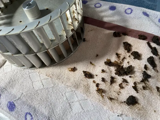 油を除去して本来の換気性能を取り戻しましょうサービスの画像