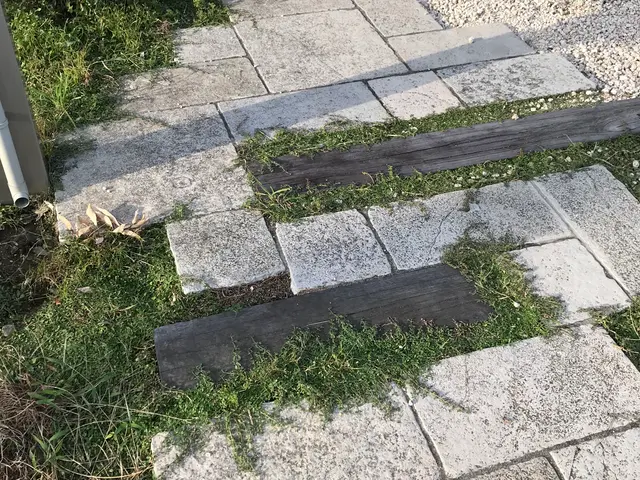 《三重県・地域密着》お庭などの草むしり！僕達にお任せ下さい‼︎サービスの画像