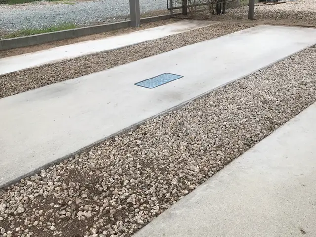 《三重県・地域密着》お庭などの草むしり！僕達にお任せ下さい‼︎サービスの画像