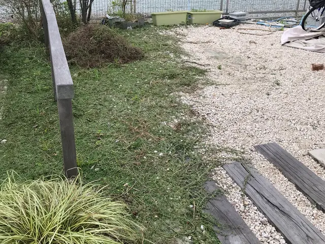 《三重県・地域密着》お庭などの草むしり！僕達にお任せ下さい‼︎サービスの画像