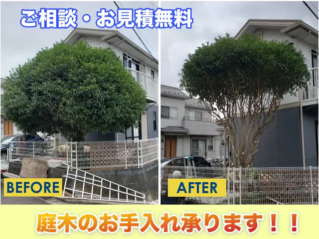 安心・丁寧◎お庭スッキリ剪定サービス！サービスの画像