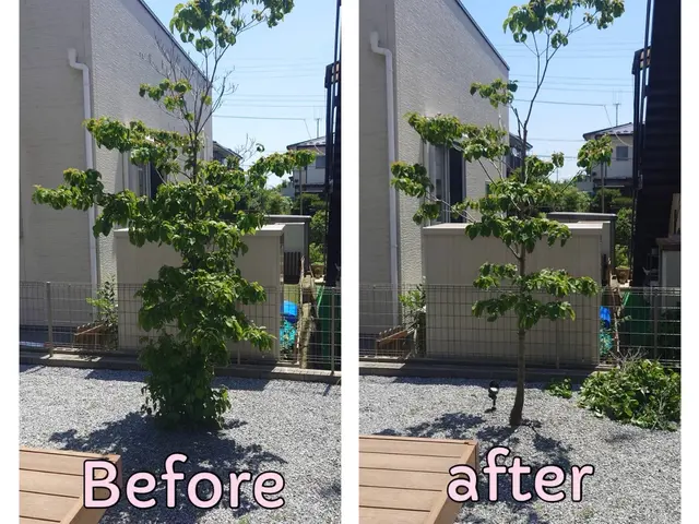 安心・丁寧◎お庭スッキリ剪定サービス！サービスの画像