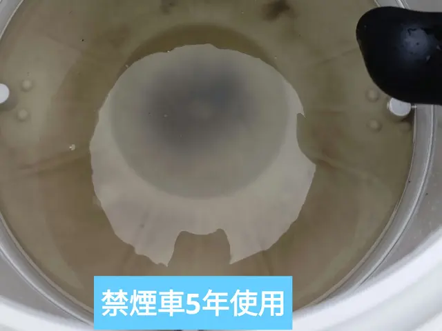 ★車内まるっと洗浄【業務用リンサー】と【安全性の高いアルカリ電解水】《佐賀市発》サービスの画像