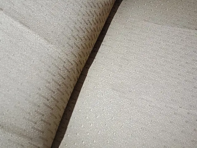 ★車内まるっと洗浄【業務用リンサー】と【安全性の高いアルカリ電解水】《佐賀市発》サービスの画像