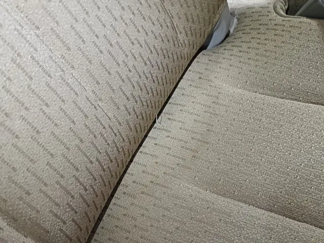 ★車内まるっと洗浄【業務用リンサー】と【安全性の高いアルカリ電解水】《佐賀市発》サービスの画像