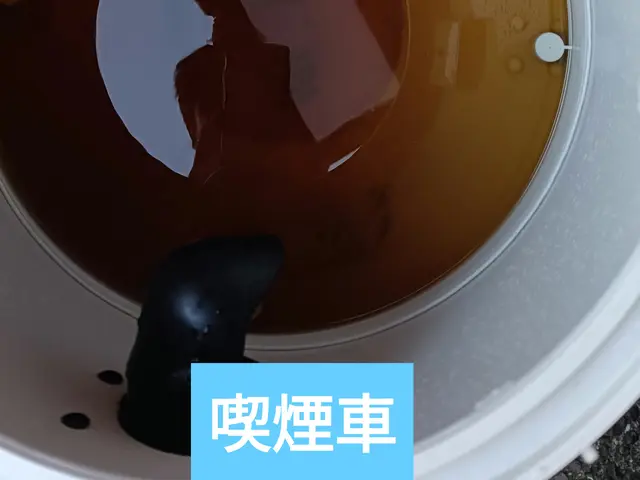 ★車内まるっと洗浄【業務用リンサー】と【安全性の高いアルカリ電解水】《佐賀市発》サービスの画像