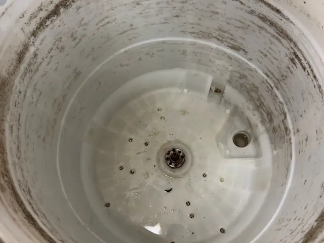 毎日使用する洗濯機を認定有資格者のプロの清掃でピカピカに☆【ドラム式対応可】サービスの画像