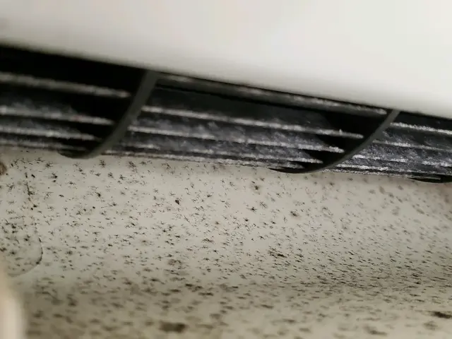 浴室や洗面台で作業は致しません!バケツに水を入れさせていただくだけでOKです。サービスの画像