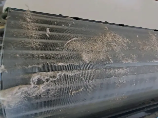 浴室や洗面台で作業は致しません!バケツに水を入れさせていただくだけでOKです。サービスの画像