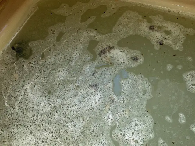 ＜横浜市発＞追い炊き配管内の電解酵素水による高圧除菌洗浄を実施いたしております。サービスの画像