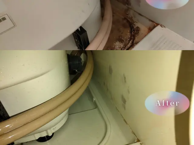 【11月出店】経験15年の実績を持つ店長が必ずお伺いしますサービスの画像