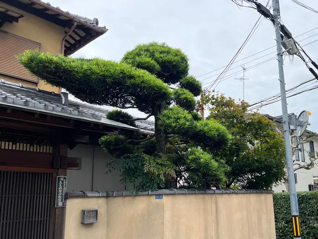 金沢の有名景勝地の手入れ経験スタッフが必ず訪問！丁寧な説明と仕上がりで満足サービスの画像