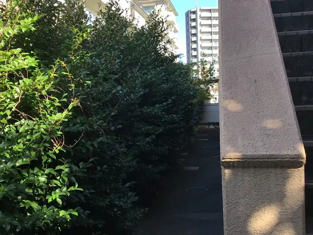 岩倉市発【職人歴35年の実績】作業外注なし全て自社対応！親切丁寧がモットー！サービスの画像