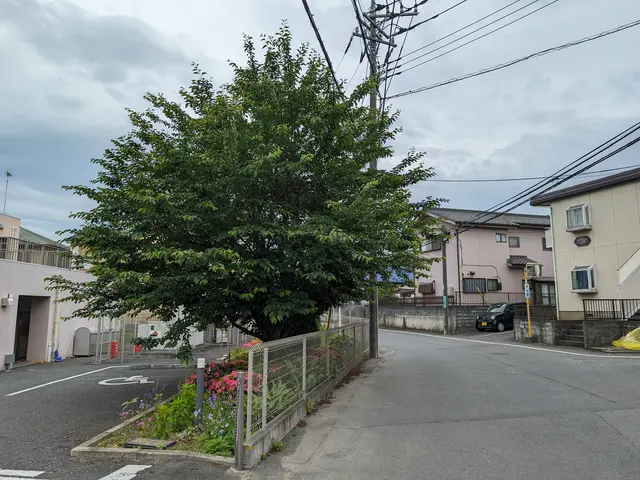 【業界12年☆作業実績年間300件以上】お客様の希望に合わせた丁寧な庭木の剪定サービスの画像