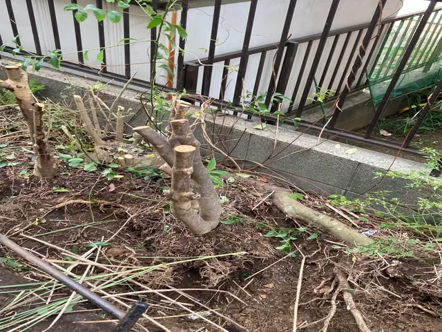 庭木の伐採抜根、その後外構工事も可能です。土間コン、人工芝、砂利敷き、車庫拡張サービスの画像