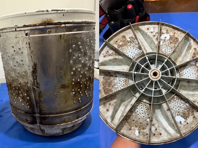 洗濯機クリーニング店長か副店長がお伺いさせて頂きます。大阪の方のみ対応可能です。サービスの画像