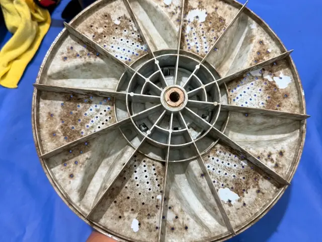 洗濯機クリーニング店長か副店長がお伺いさせて頂きます。大阪の方のみ対応可能です。サービスの画像