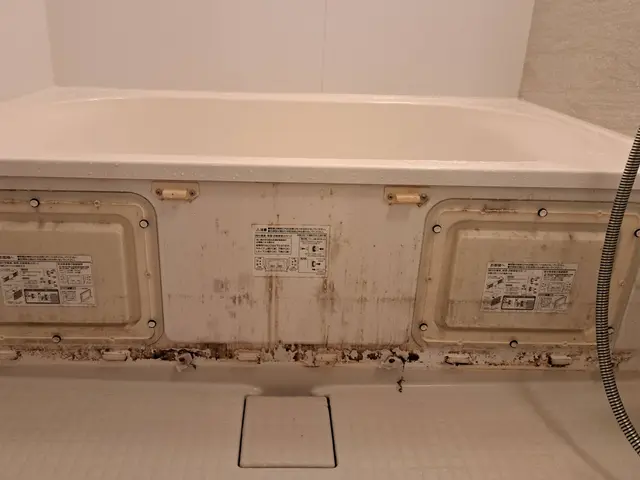 落ちにくいお風呂のカビ、石鹸カス、あきらめないで一度ご相談くださいサービスの画像