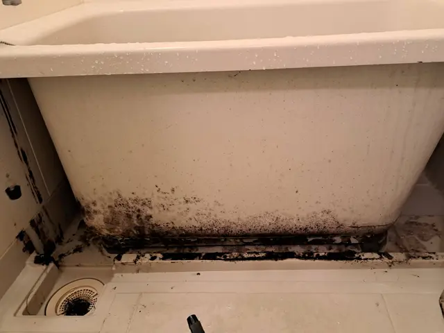 落ちにくいお風呂のカビ、石鹸カス、あきらめないで一度ご相談くださいサービスの画像