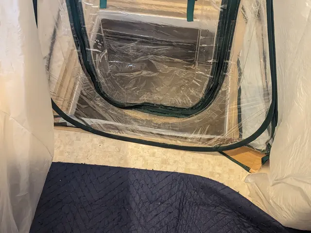 茨木より。２０数年の経験と安心の５年間保証。１１月末まで秋のキャンペーン実施中！サービスの画像