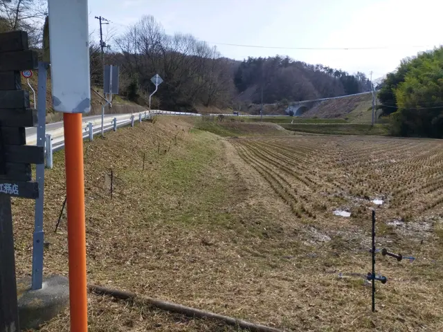 業界歴10年以上の森林関係者！ご要望の範囲で草刈りを行います！サービスの画像